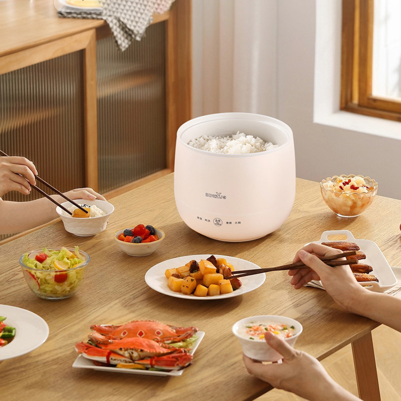 1.8L Multifunctional Electric  - đánh giá và giá Baby Food Recipe Book